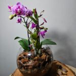 Cores, perfumes e formas que transformam qualquer ambiente02